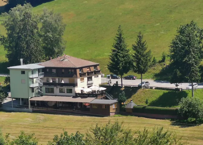 Gruener Baum Mit Restaurant & Wellness Hotel 3*