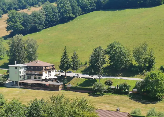 Gruener Baum Mit Restaurant & Wellness