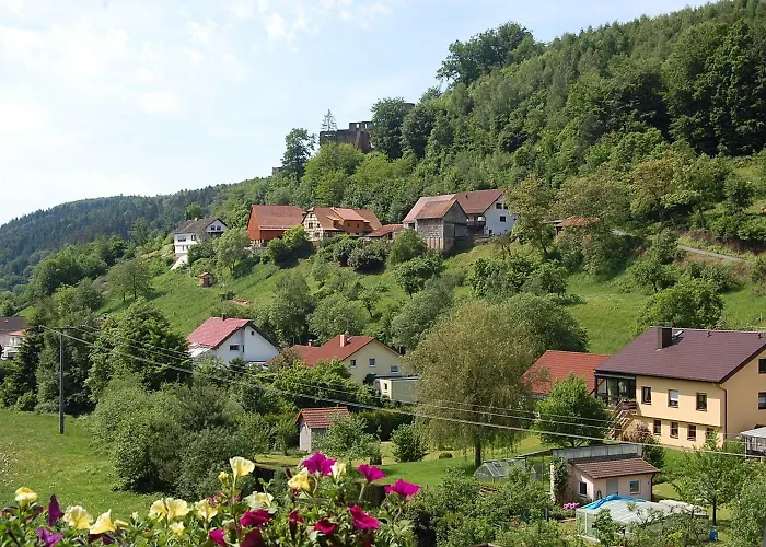 Gruener Baum Mit Restaurant & Wellness Hotel Oberzent