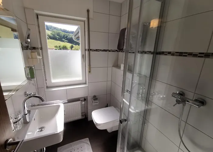 Gruener Baum Mit Restaurant & Wellness Hotel 3*