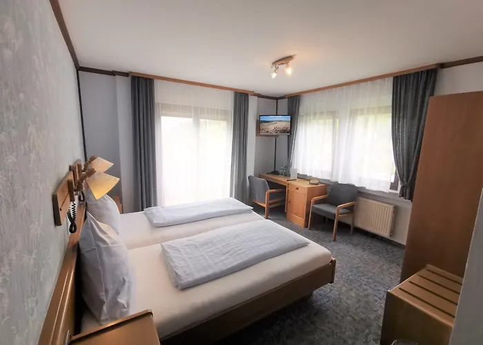 Hotel Gruener Baum Mit Restaurant & Wellness 3*