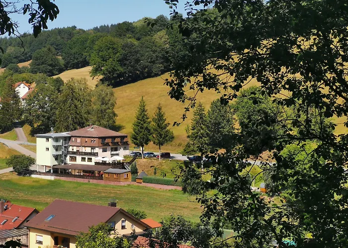 Gruener Baum Mit Restaurant & Wellness 3* Oberzent