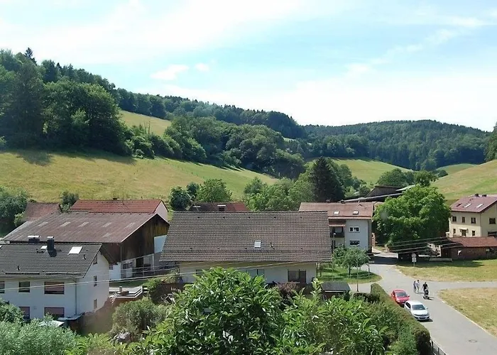 Gruener Baum Mit Restaurant & Wellness Hotel 3*