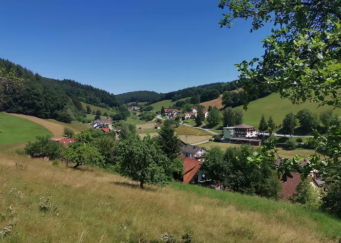 Hotel Gruener Baum Mit Restaurant & Wellness