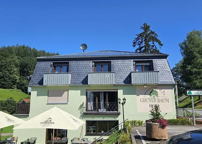 Gruener Baum Mit Restaurant & Wellness Hotel