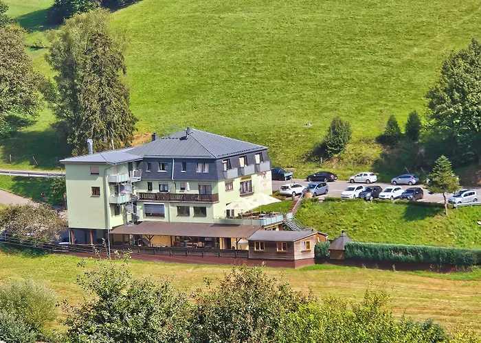 Hotel Gruener Baum Mit Restaurant & Wellness Oberzent