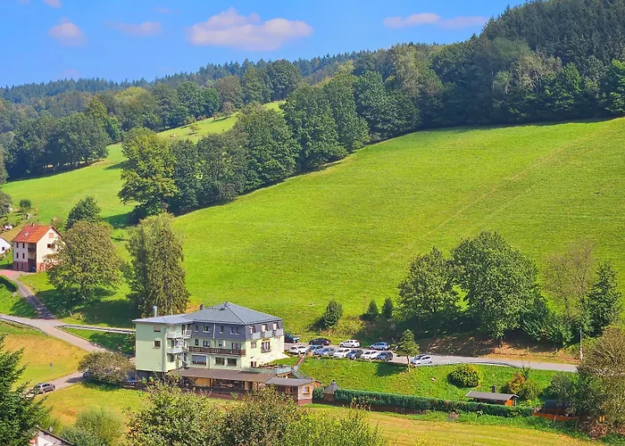 Hotel Gruener Baum Mit Restaurant & Wellness