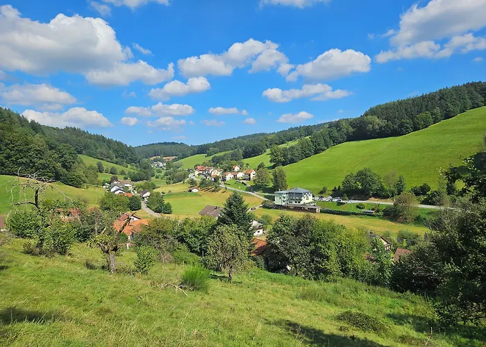 Gruener Baum Mit Restaurant & Wellness
