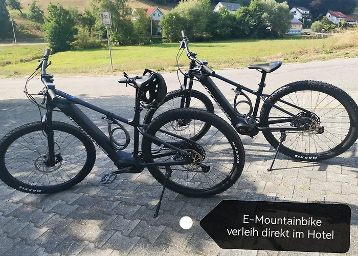 Gruener Baum Mit Restaurant & Wellness Oberzent