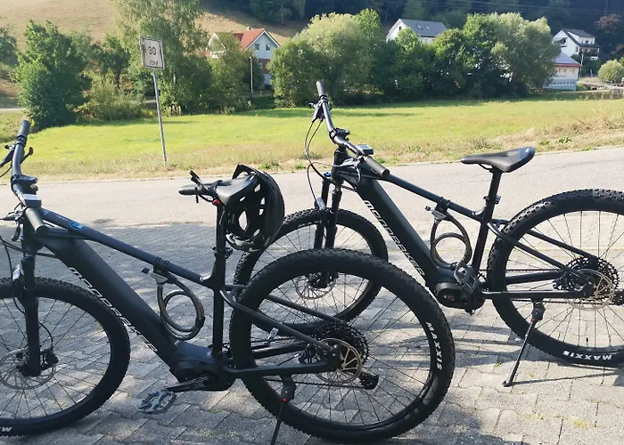 Gruener Baum Mit Restaurant & Wellness Oberzent