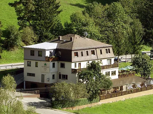 Hotel Gruener Baum Mit Restaurant & Wellness Oberzent