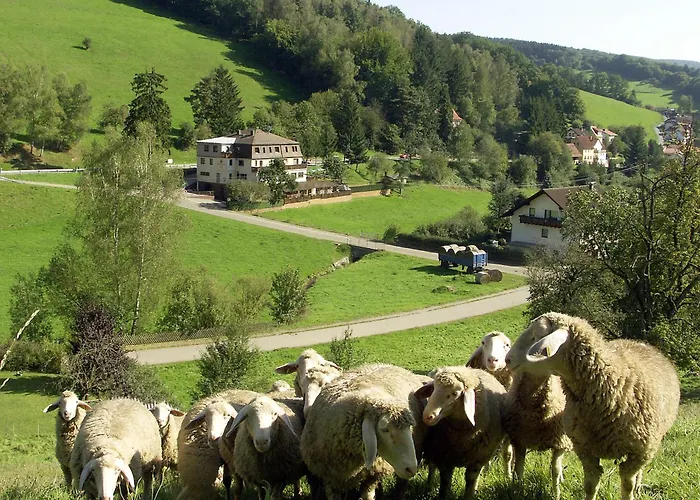 Gruener Baum Mit Restaurant & Wellness Hotel Oberzent