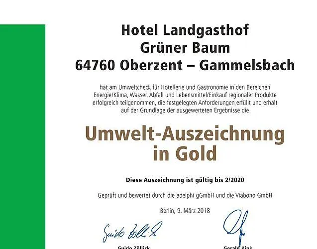 Hotel Gruener Baum Mit Restaurant & Wellness Oberzent